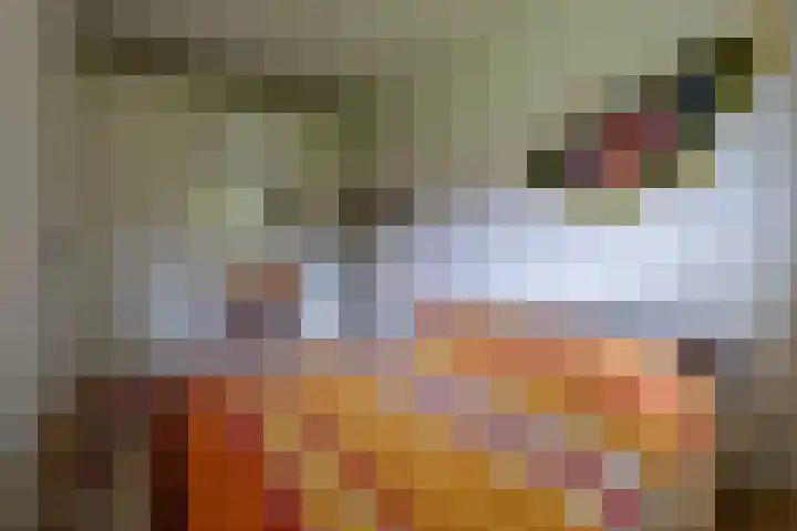 Steniahof 125 Zeist thumbnail 15