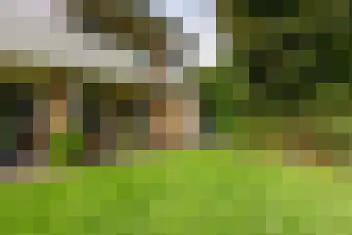 Steniahof 125 Zeist thumbnail 17