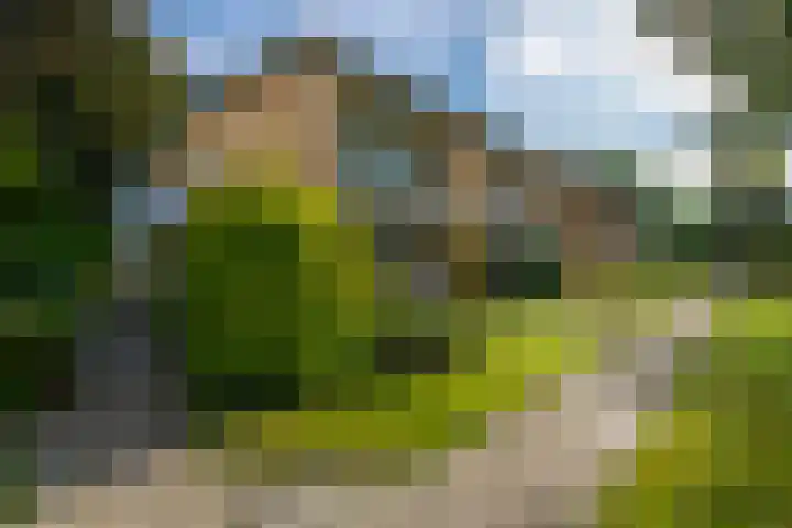 Steniahof 125 Zeist thumbnail 19