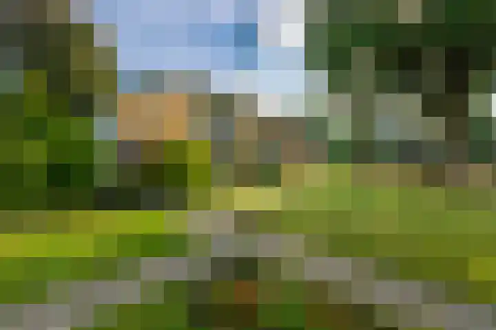 Steniahof 125 Zeist thumbnail 20
