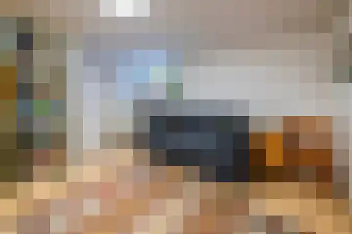Steniahof 125 Zeist thumbnail 9