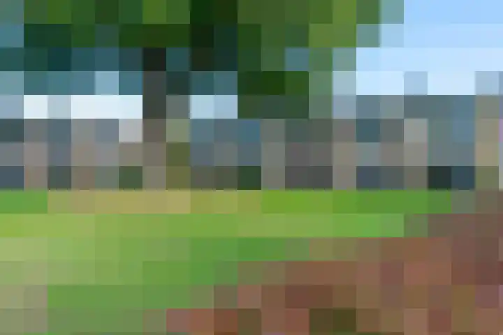 Steniahof 127 Zeist thumbnail 18