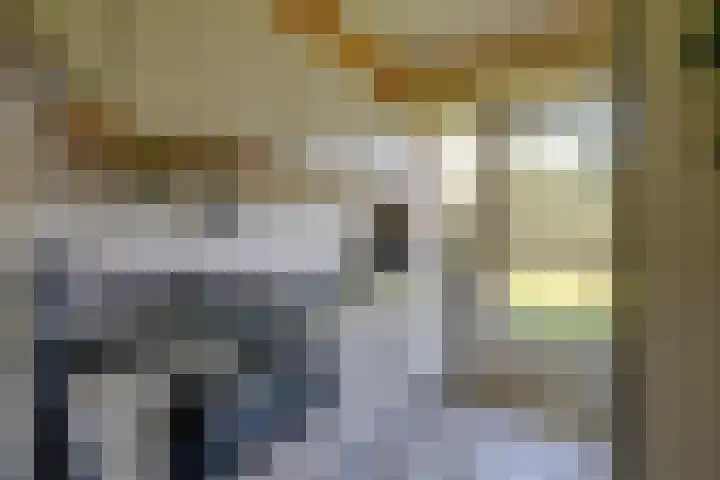 Steniahof 127 Zeist thumbnail 8