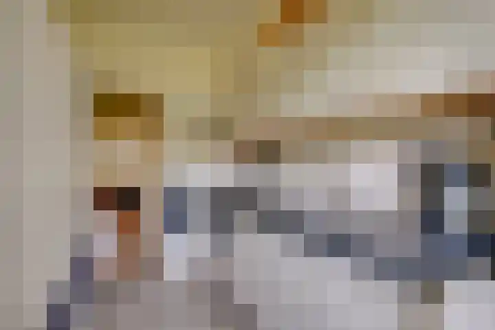Steniahof 127 Zeist thumbnail 9