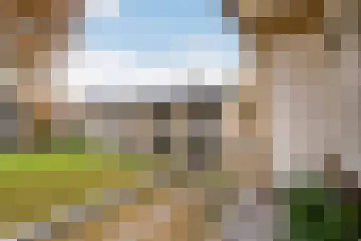 Steniahof 128 Zeist thumbnail 12