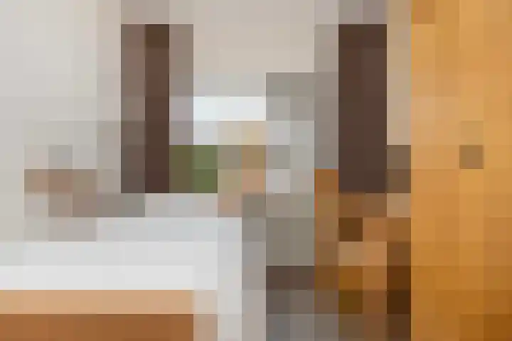 Steniahof 128 Zeist thumbnail 14