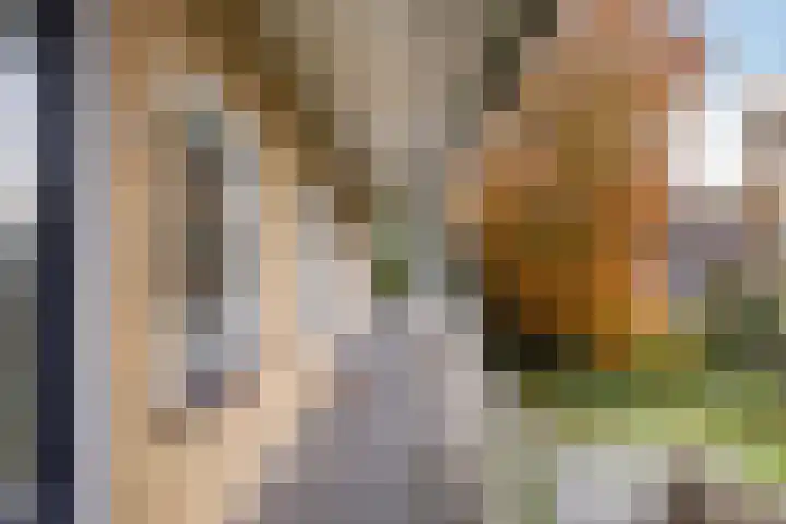 Steniahof 128 Zeist thumbnail 19