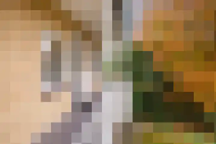 Steniahof 128 Zeist thumbnail 21