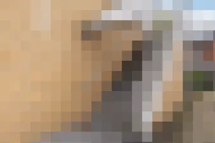 Steniahof 128 Zeist thumbnail 22