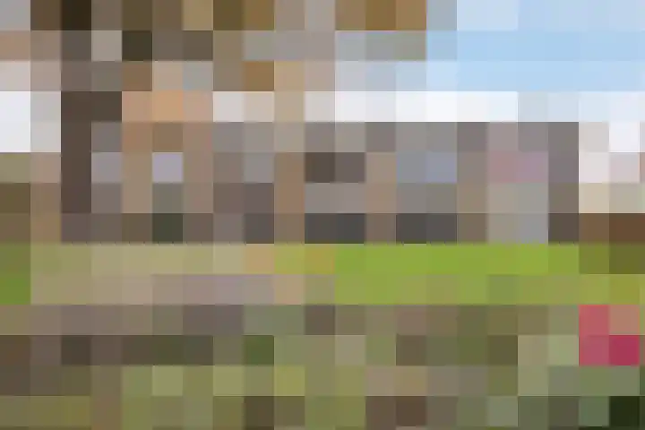 Steniahof 128 Zeist thumbnail 28