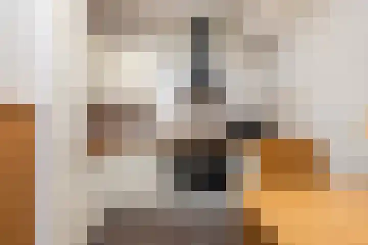 Steniahof 128 Zeist thumbnail 8