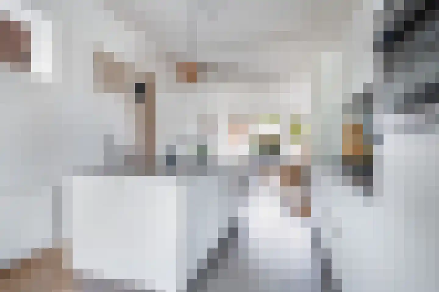 Steniaweg 18 Zeist thumbnail 22