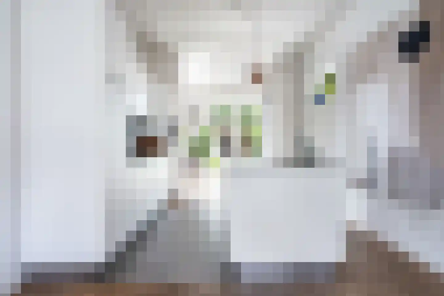 Steniaweg 18 Zeist thumbnail 23