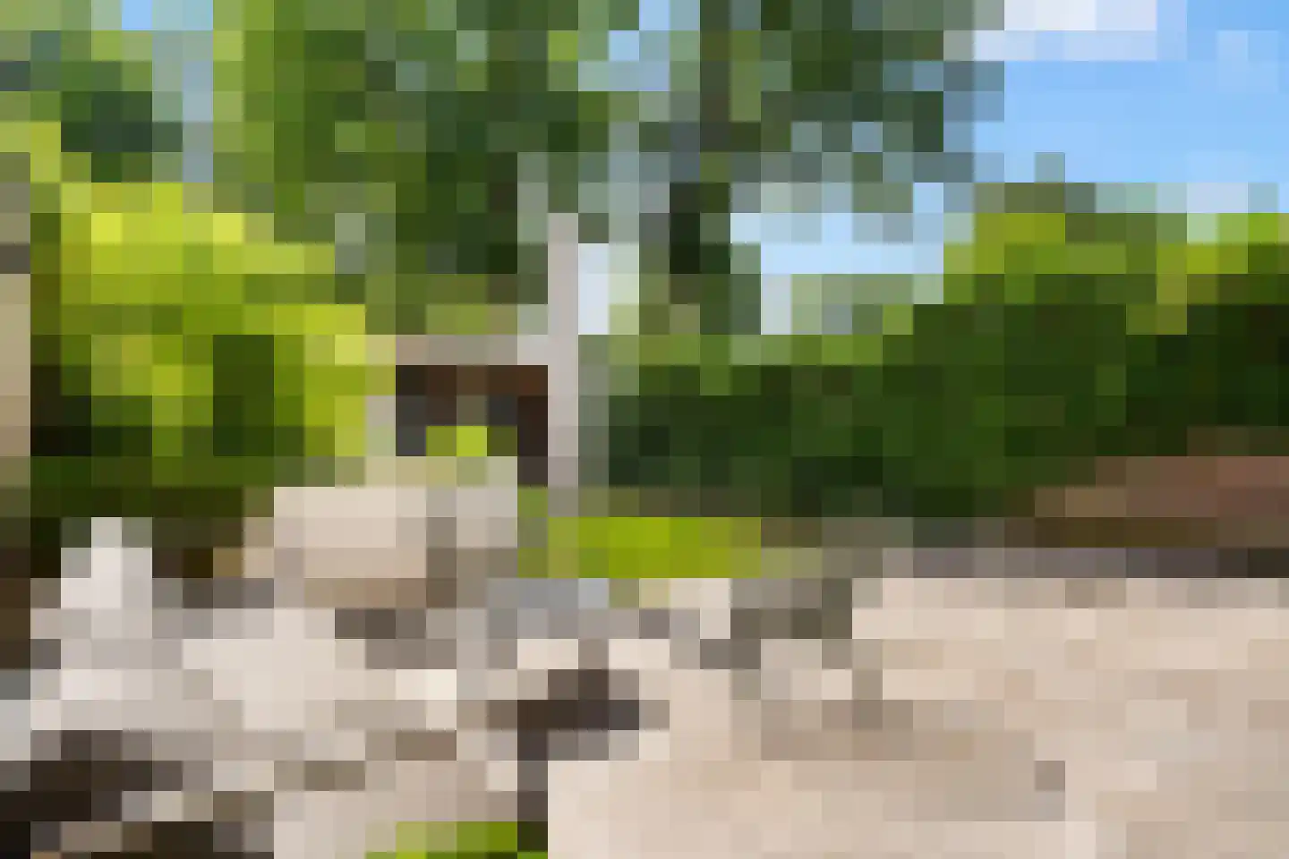 Steniaweg 18 Zeist thumbnail 28