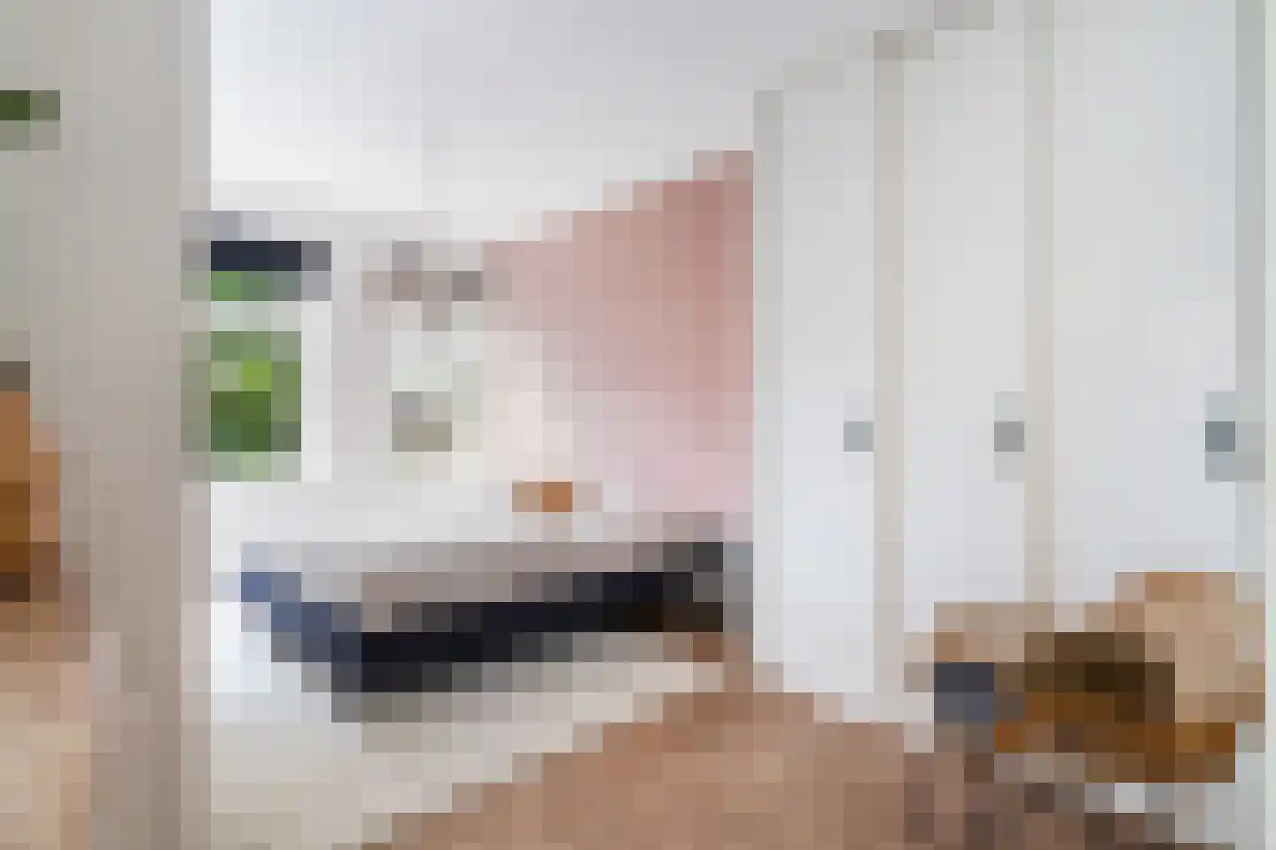 Steniaweg 18 Zeist thumbnail 35