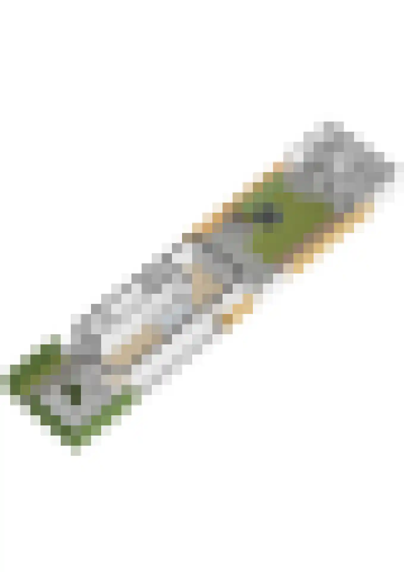 Steniaweg 18 Zeist thumbnail 59