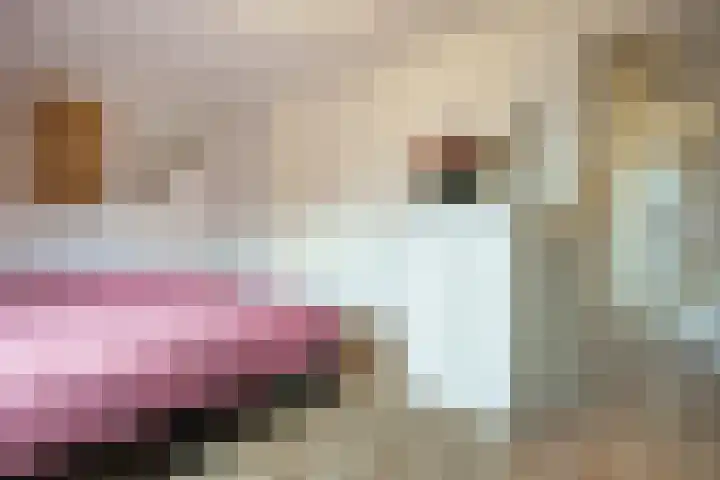 Steniaweg 29 Zeist thumbnail 14