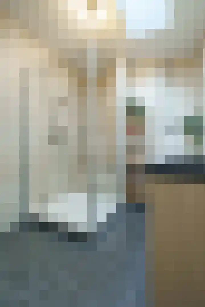 Steniaweg 29 Zeist thumbnail 16
