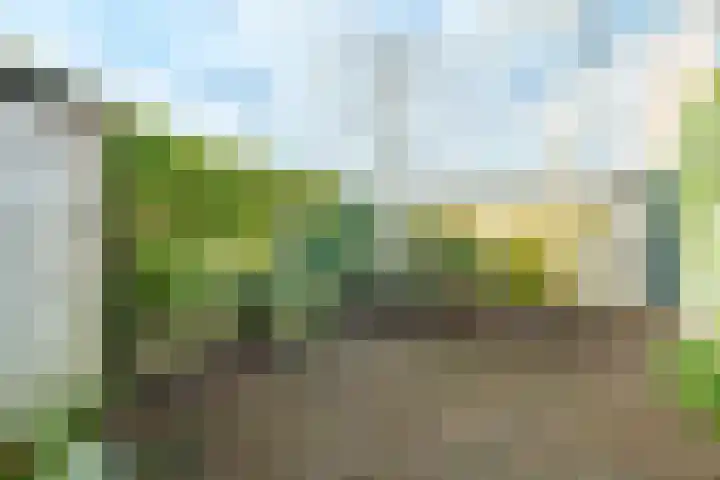 Steniaweg 29 Zeist thumbnail 18