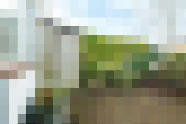 Steniaweg 29 Zeist thumbnail 19