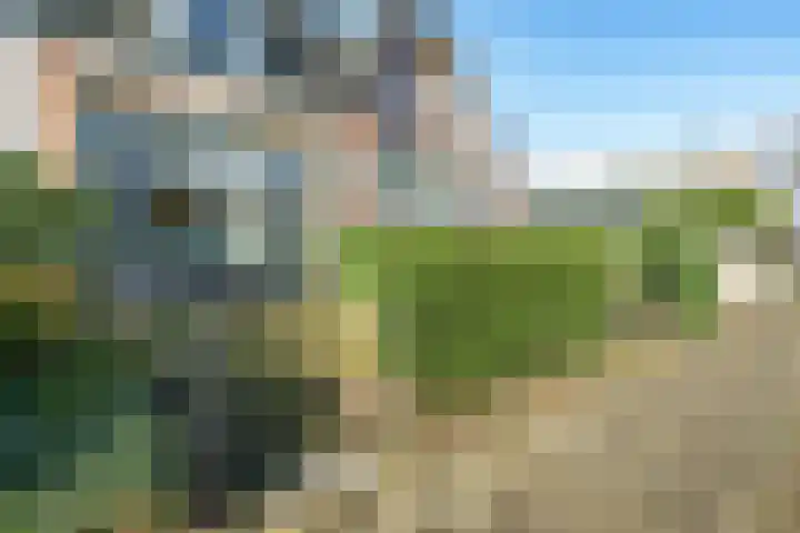 Steniaweg 29 Zeist thumbnail 21