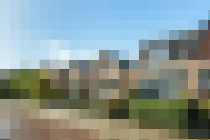 Steniaweg 29 Zeist thumbnail 22