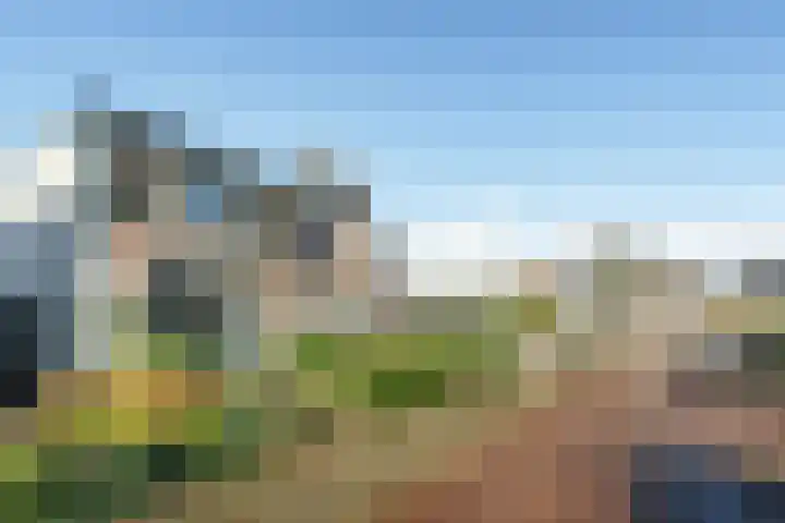 Steniaweg 29 Zeist thumbnail 23
