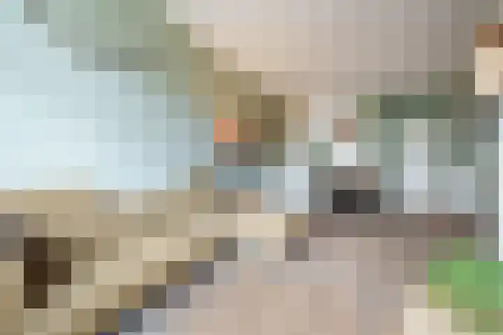 Steniaweg 29 Zeist thumbnail 4