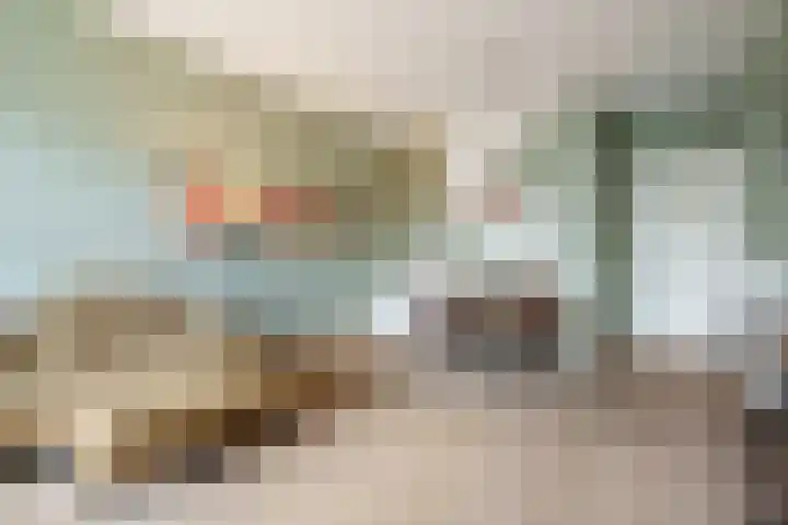 Steniaweg 29 Zeist thumbnail 6