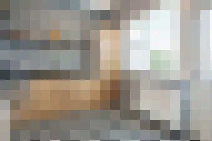 Steniaweg 29 Zeist thumbnail 8