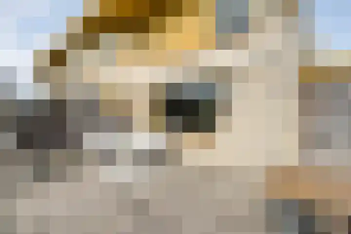 Stentorlaan 177 Enschede thumbnail 33
