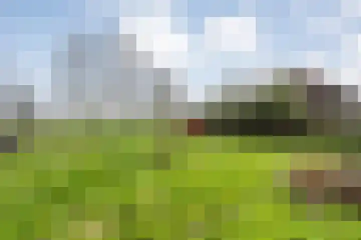 Stentorlaan 177 Enschede thumbnail 43