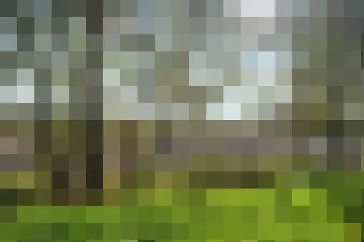 Stentorlaan 183 Enschede thumbnail 31
