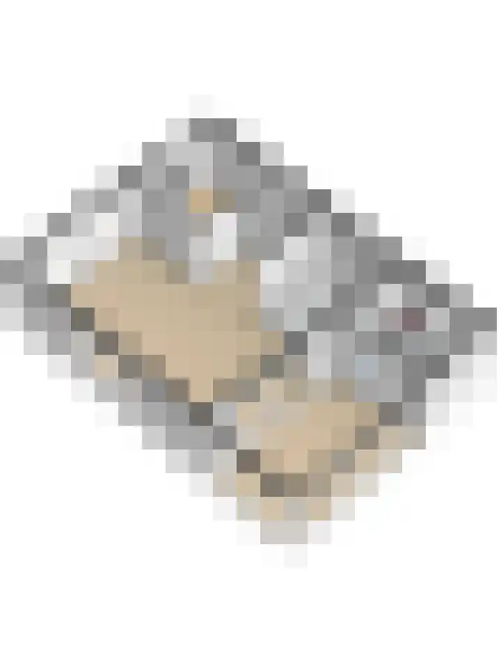 Stentorlaan 4 Enschede thumbnail 43