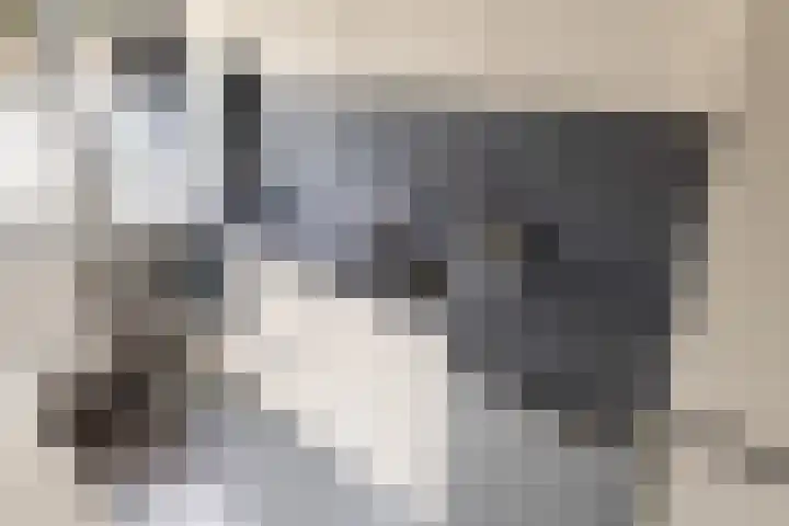 Stentorstraat 41 H Amsterdam thumbnail 20