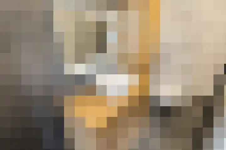 Stentorstraat 41 H Amsterdam thumbnail 34