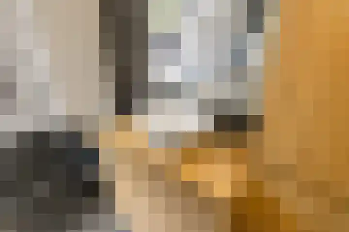 Stentorstraat 41 H Amsterdam thumbnail 35