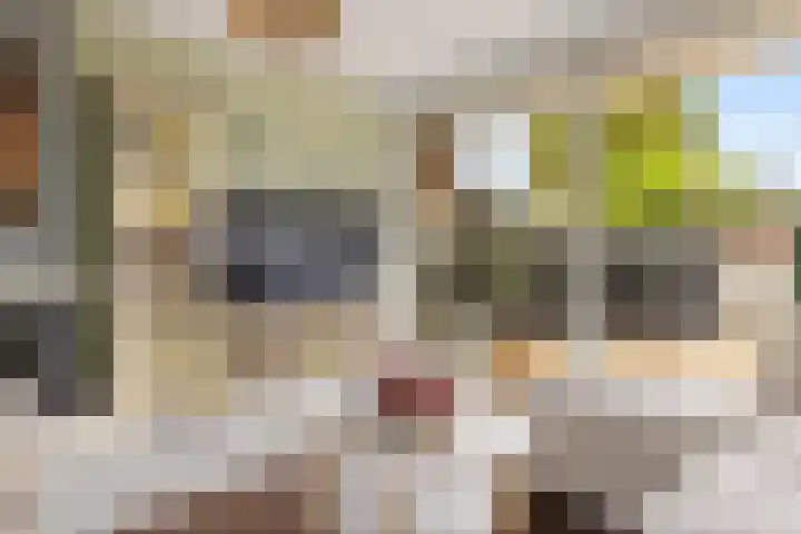 Stentorstraat 41 H Amsterdam thumbnail 9