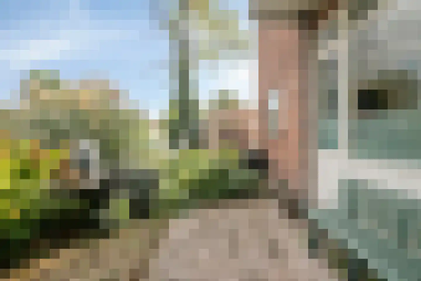 Stentorstraat 75 H Amsterdam thumbnail 11