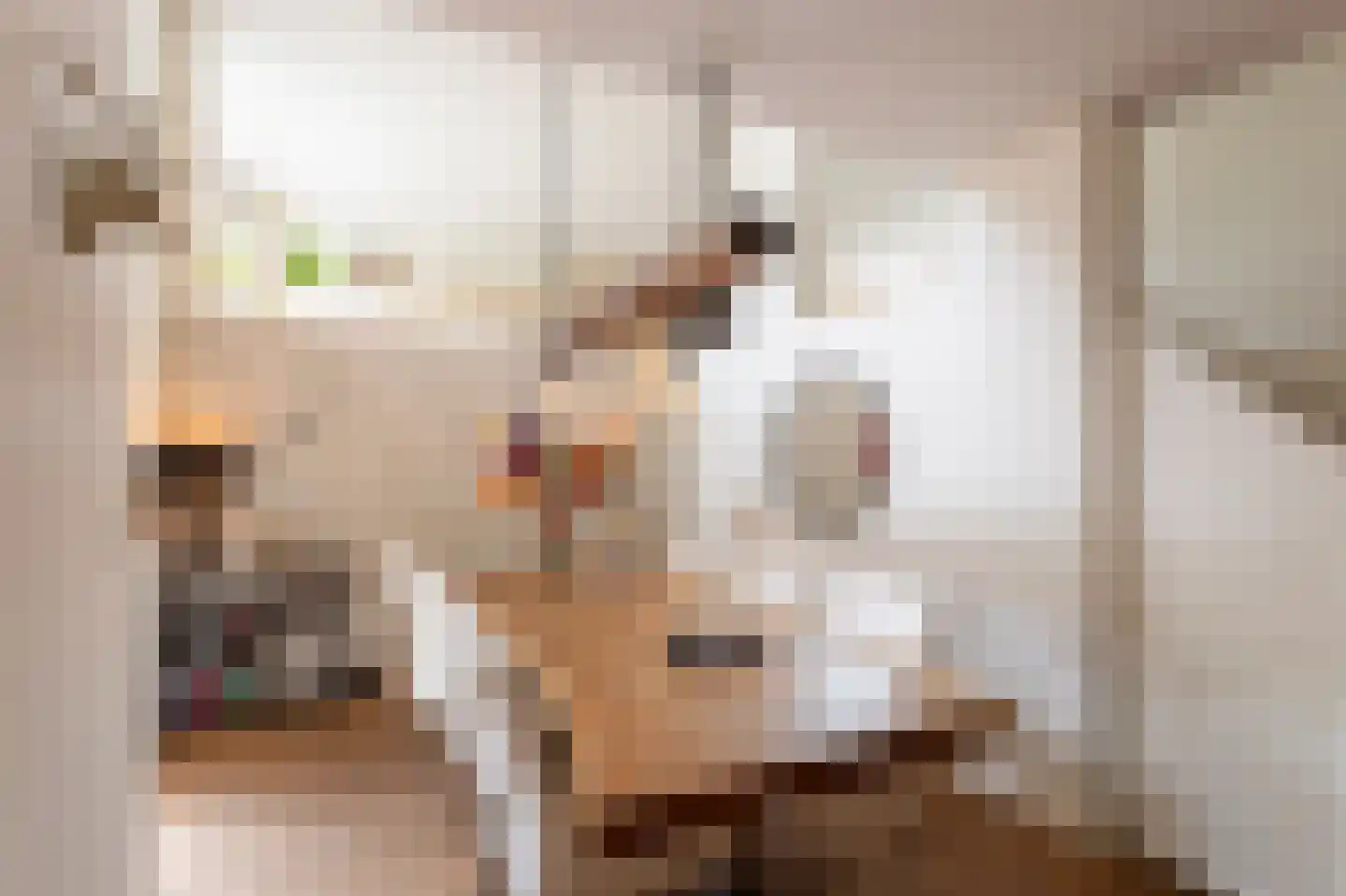 Stepekolk-Oost 49 Helmond thumbnail 8