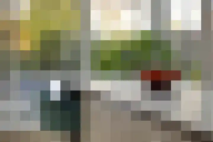Stepekolk-Oost 50 Helmond thumbnail 28