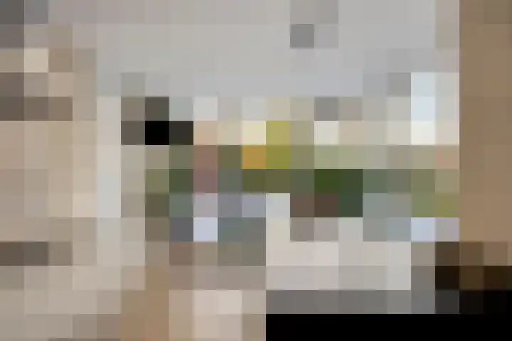Stepekolk-Oost 50 Helmond thumbnail 5
