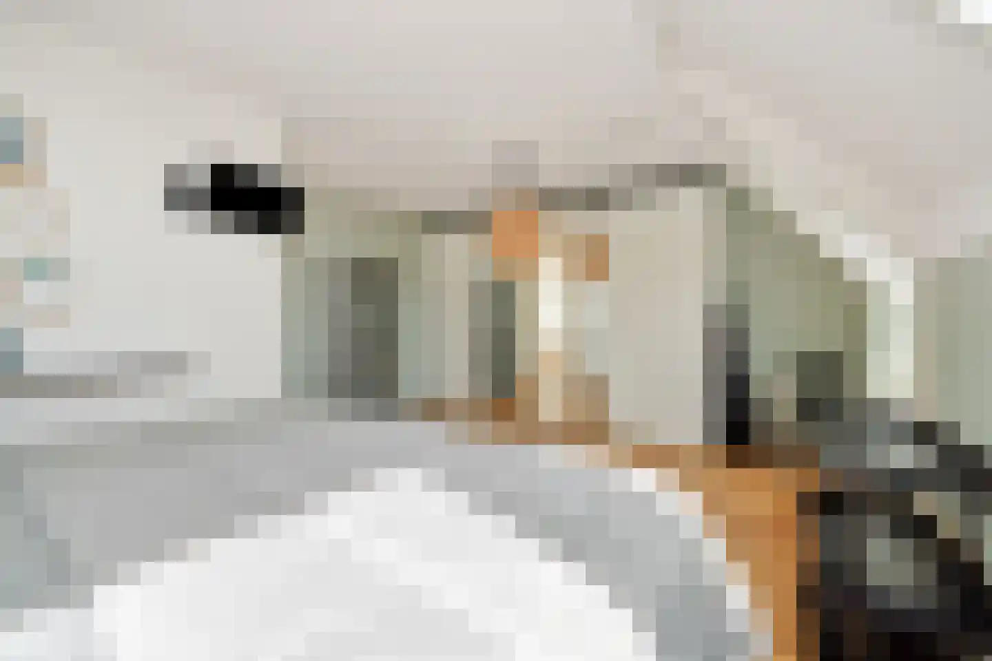 Stepekolk-Oost 51 Helmond thumbnail 43