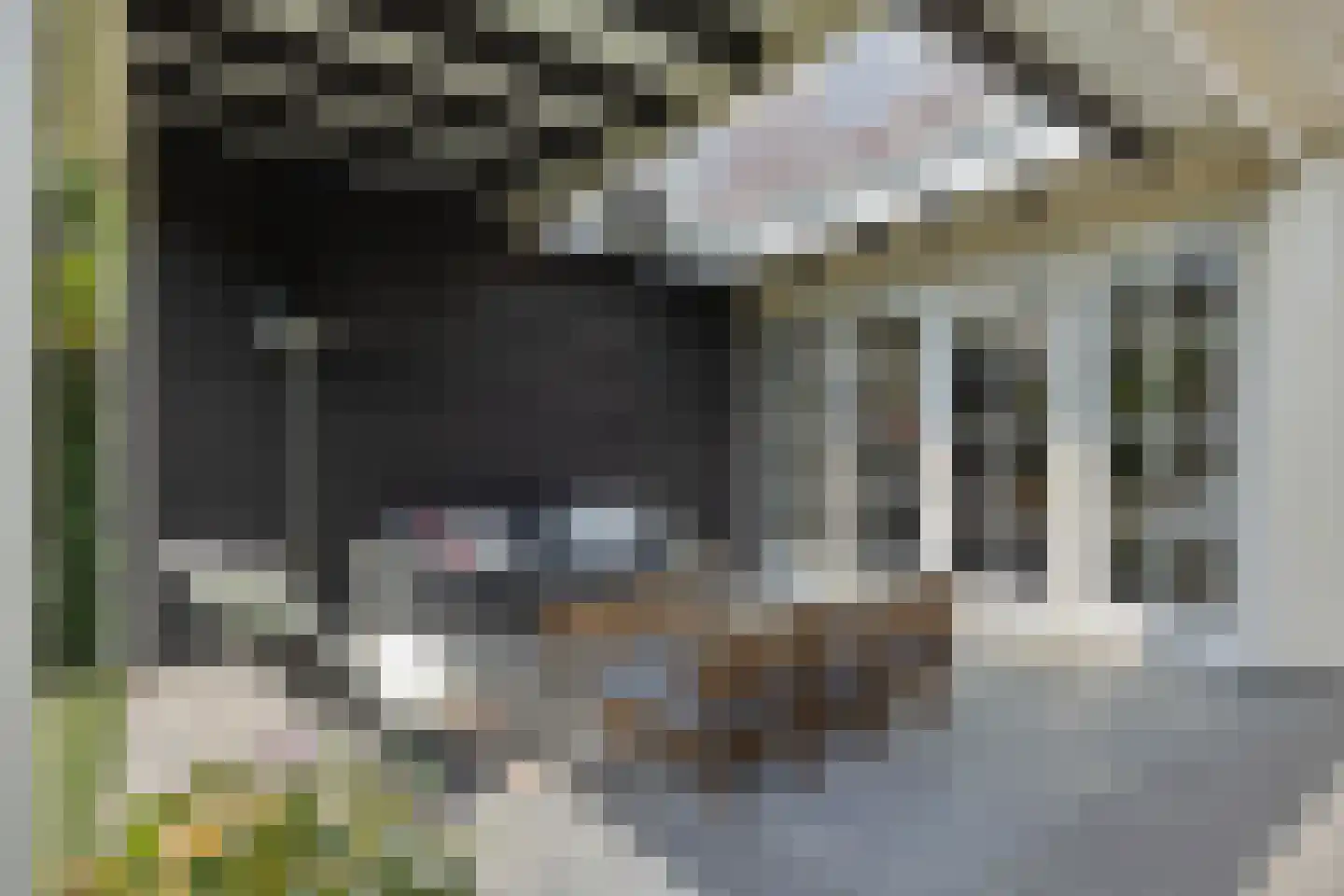 Stepekolk-Oost 51 Helmond thumbnail 54