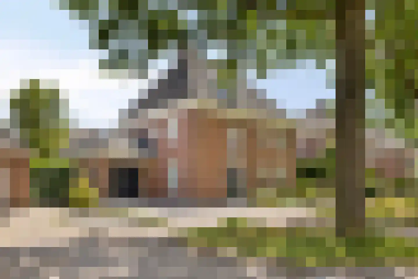 Stepekolk-Oost 7 Helmond foto 2