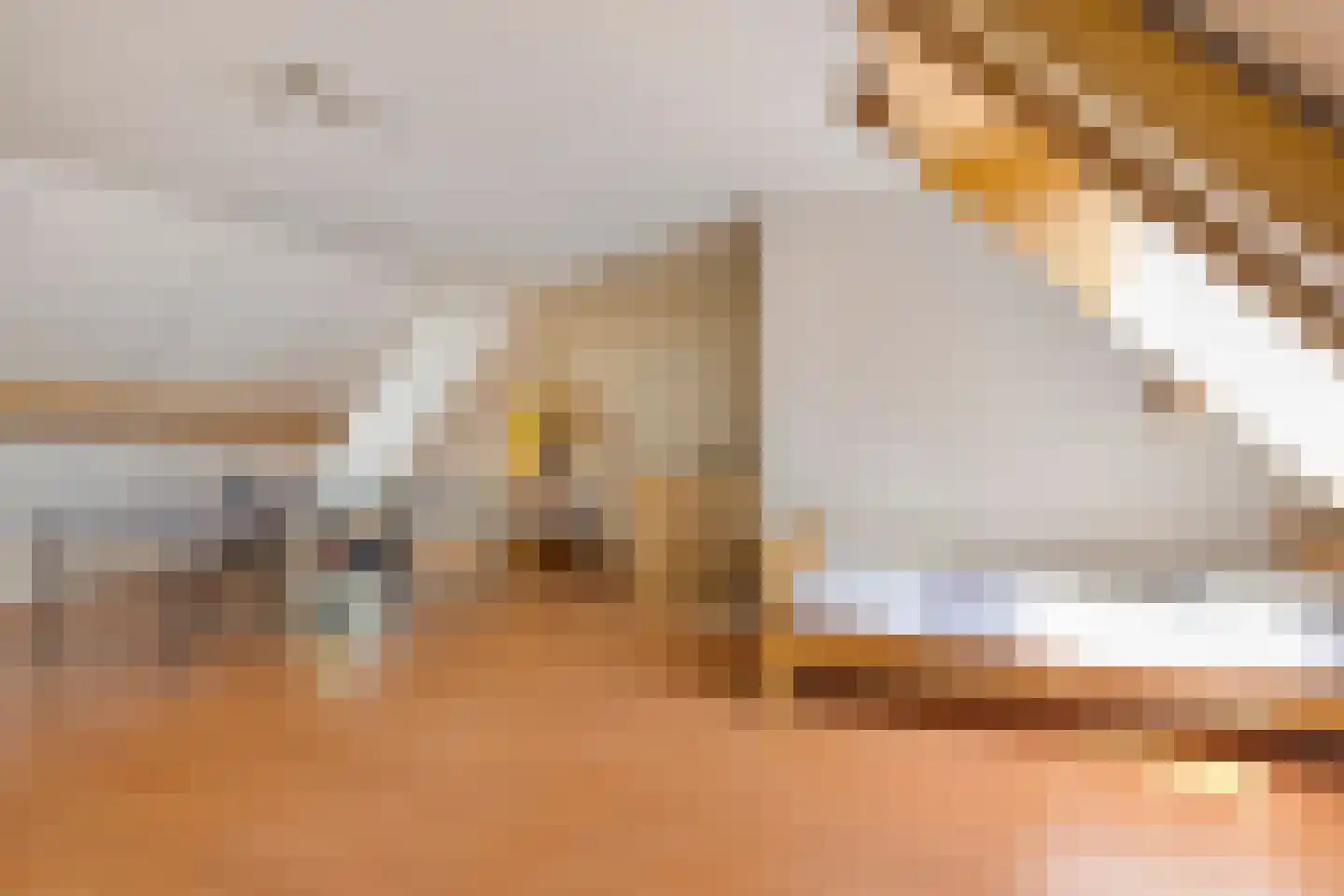 Stepekolk-Oost 7 Helmond thumbnail 39