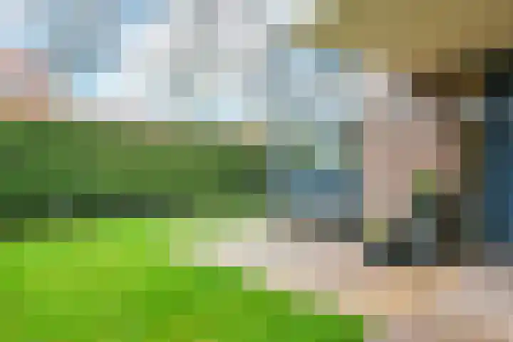 Stepelerveld 59 Nieuw-Vennep thumbnail 4