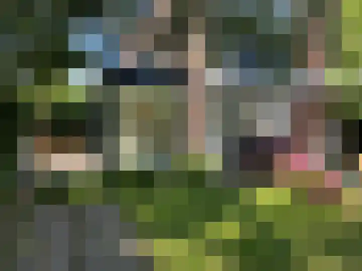 Stepelerveld 83 Nieuw-Vennep thumbnail 16