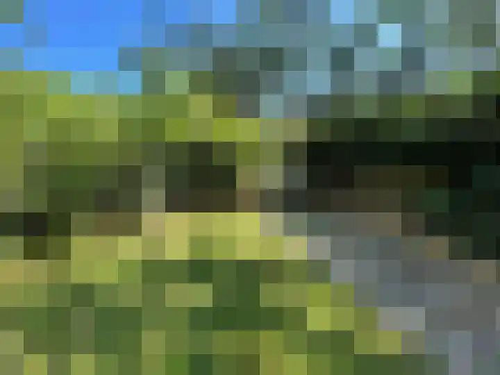 Stepelerveld 83 Nieuw-Vennep thumbnail 19