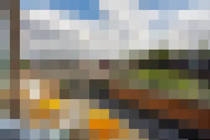 Stepelerveld 83 Nieuw-Vennep thumbnail 44